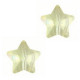 Fashion faceted 14mm Star bead Crystal Champagne ab